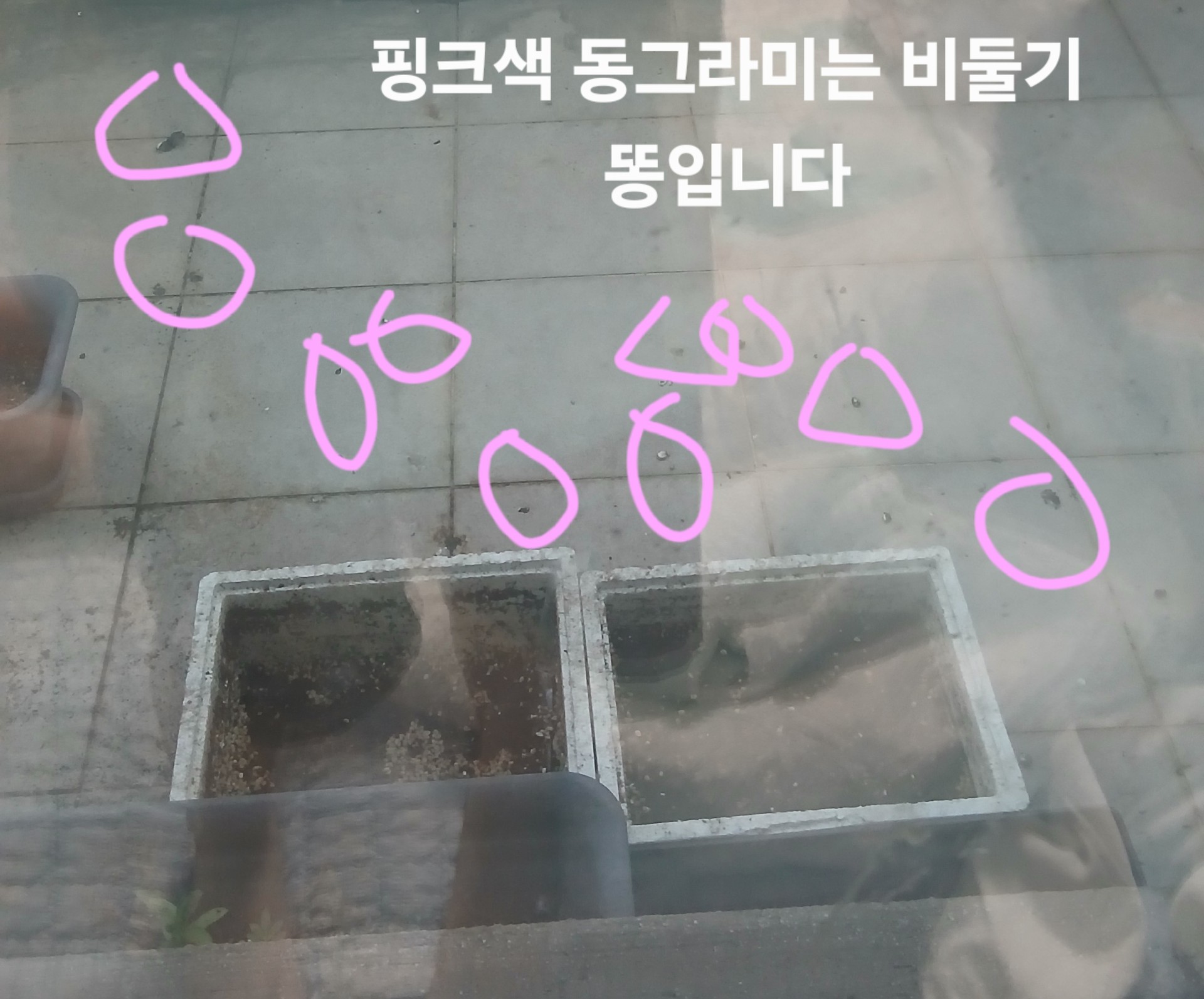우리 집  배란다에  비둘기가 똥 싸고 감
