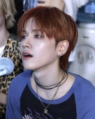 보넥도 사진모음1 19개