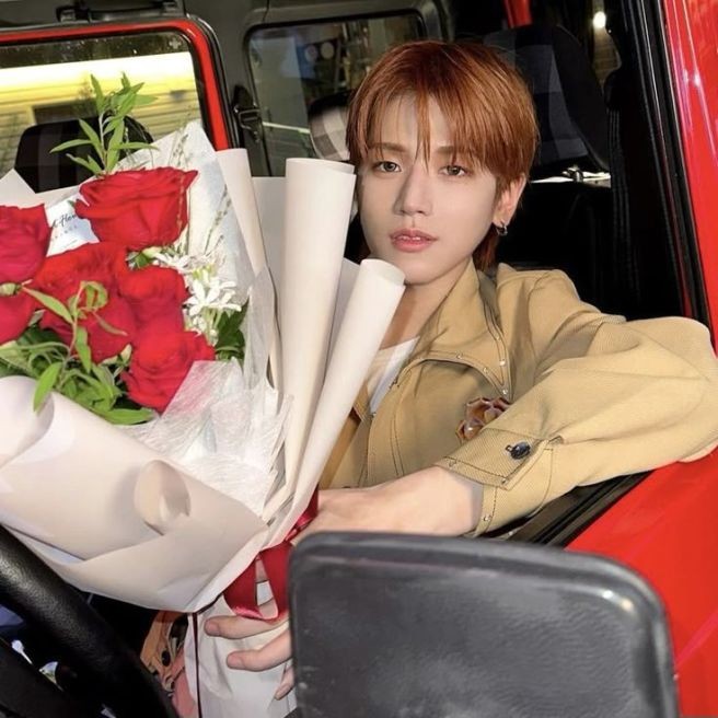 보넥도 사진모음1 19개