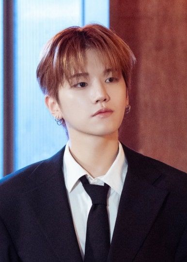 보넥도사진 모음2 19개