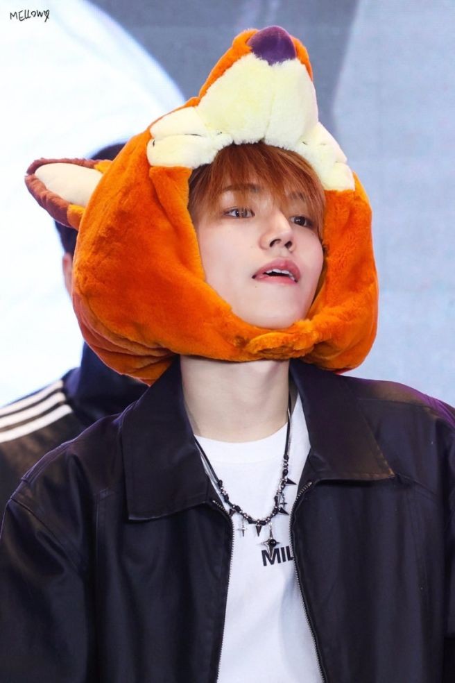 보넥도사진 모음2 19개