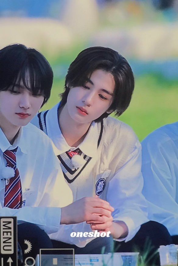 보넥도사진모음3 19개