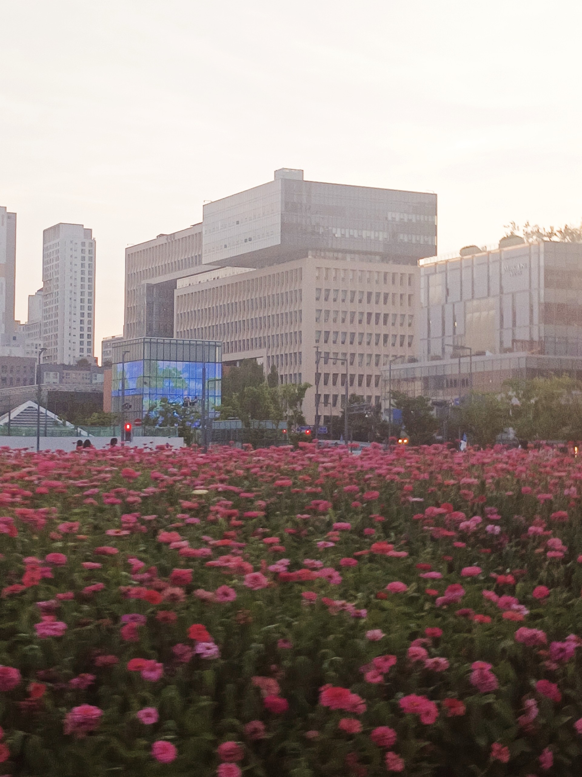 편집 부탁드려용