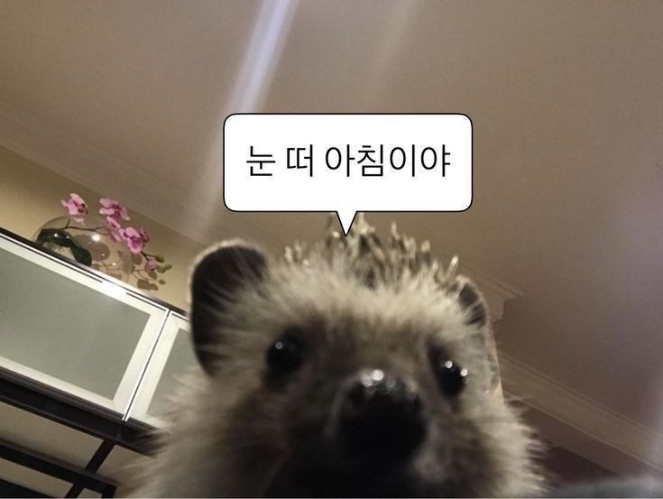 학교가기싫다
