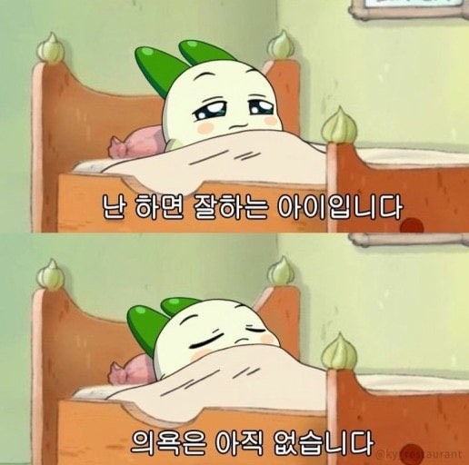 (아마도)모든 학생들을 관통하는 짤