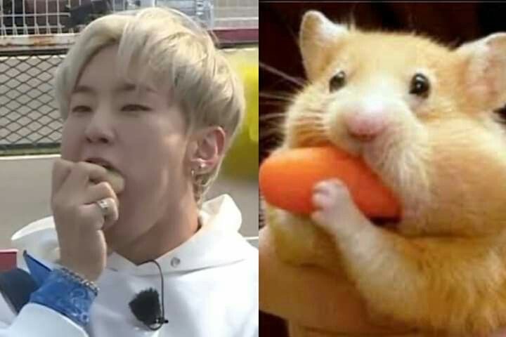 호시 귀여운 짤 공유 합니당