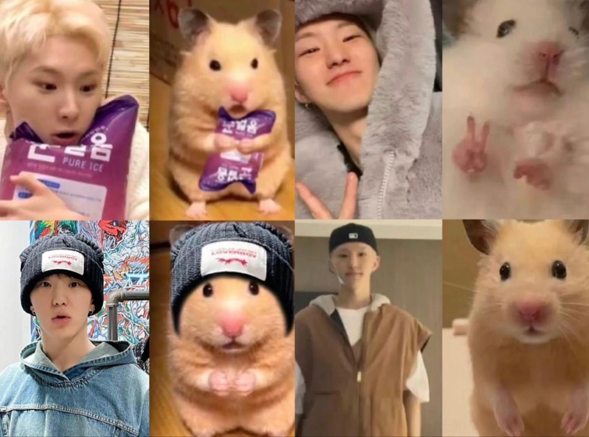 호시 귀여운 짤 공유 합니당