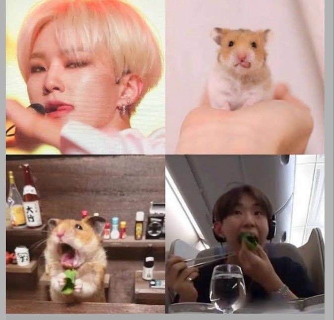 호시 귀여운 짤 공유 합니당