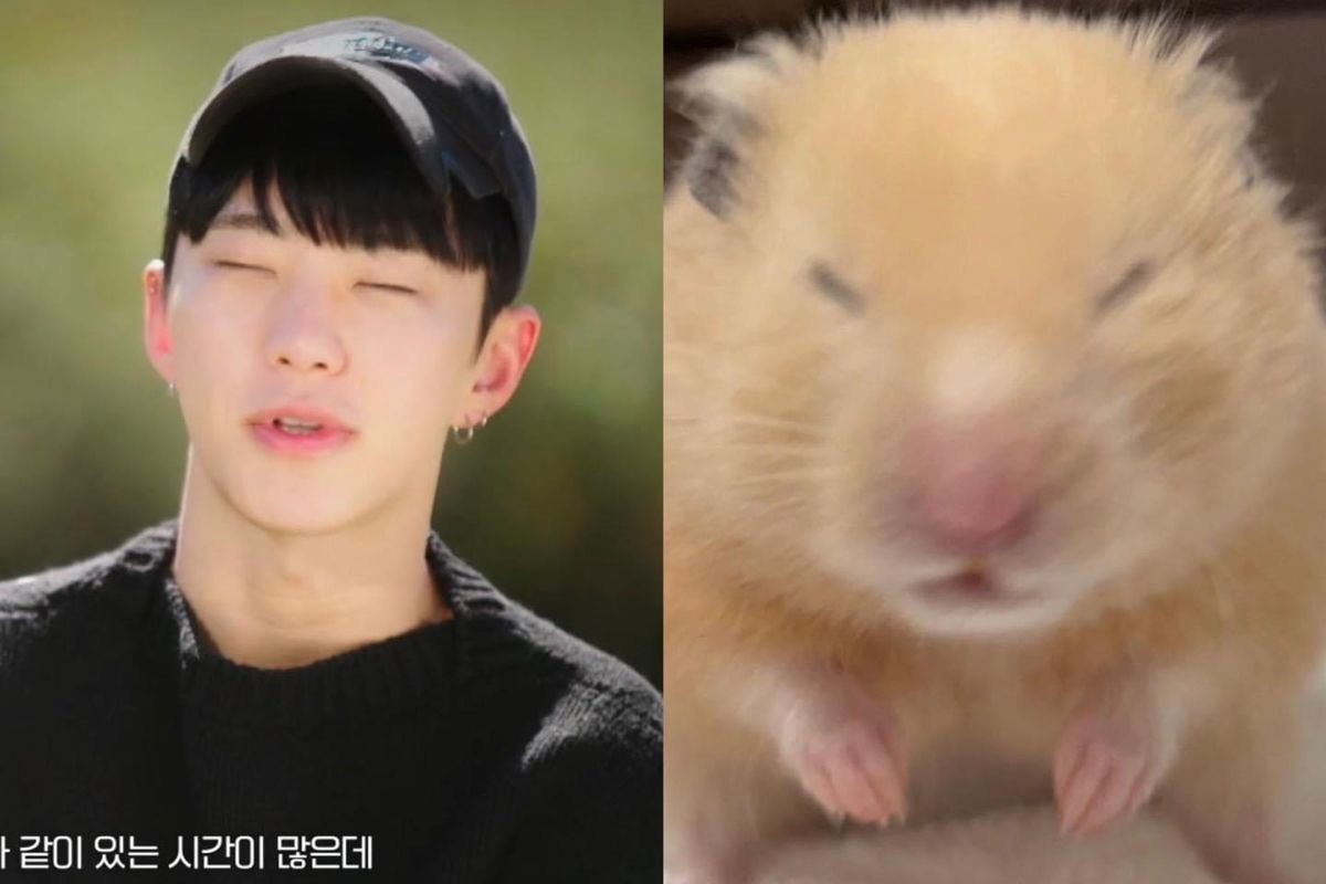 호시 귀여운 짤 공유 합니당