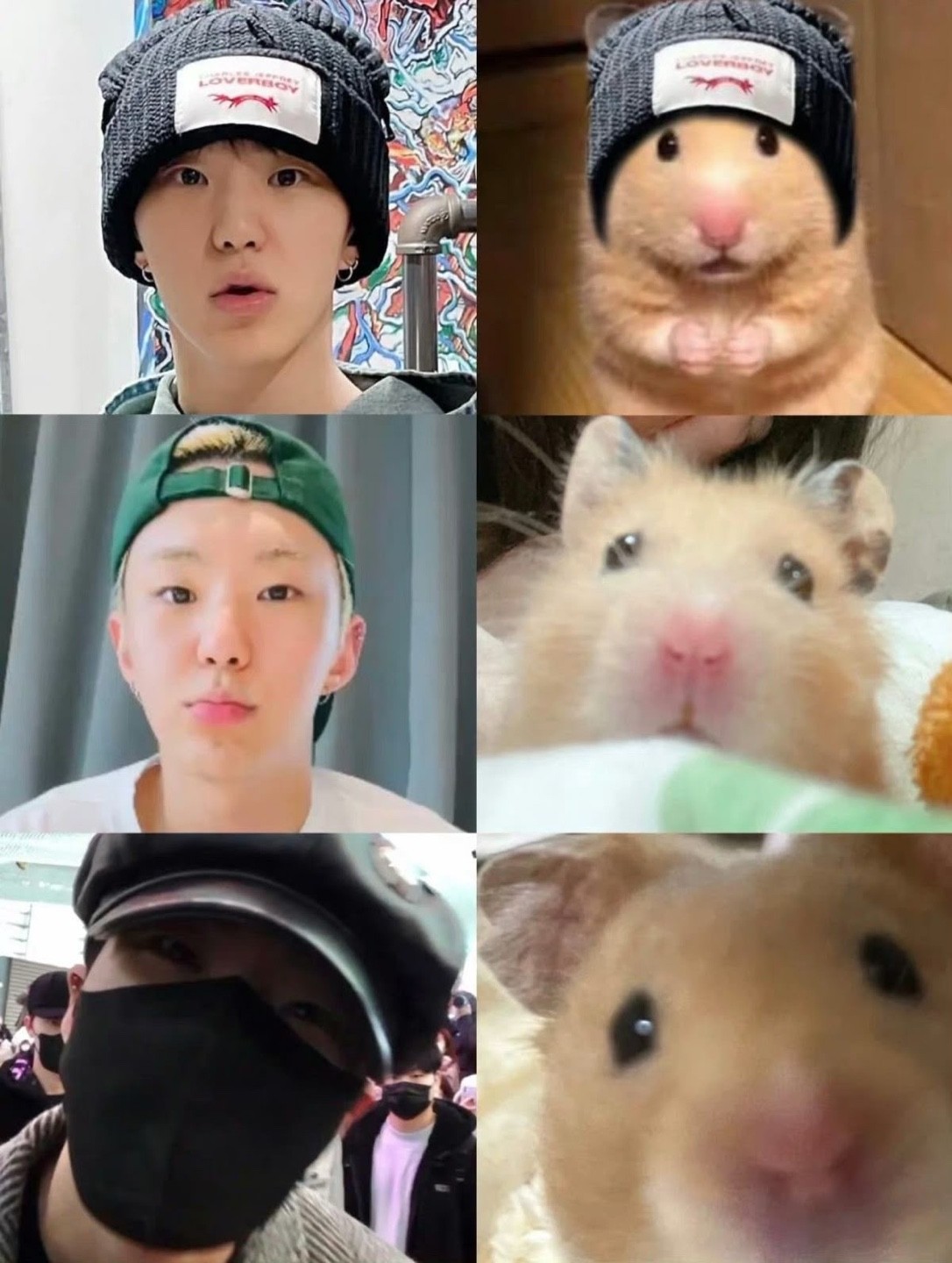 호시 귀여운 짤 공유 합니당