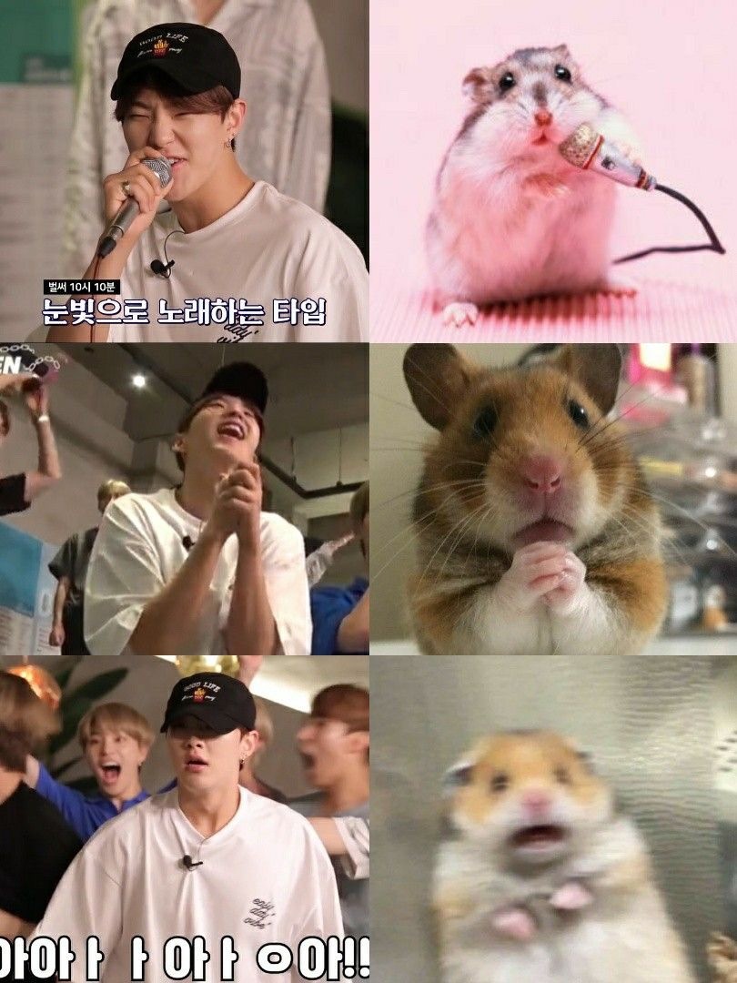 호시 귀여운 짤 공유 합니당