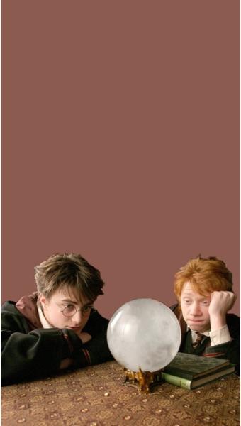 해리포터 사진's