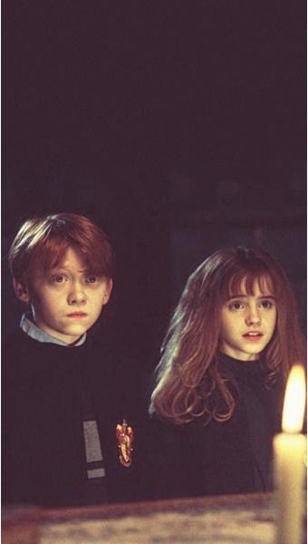 해리포터 사진's