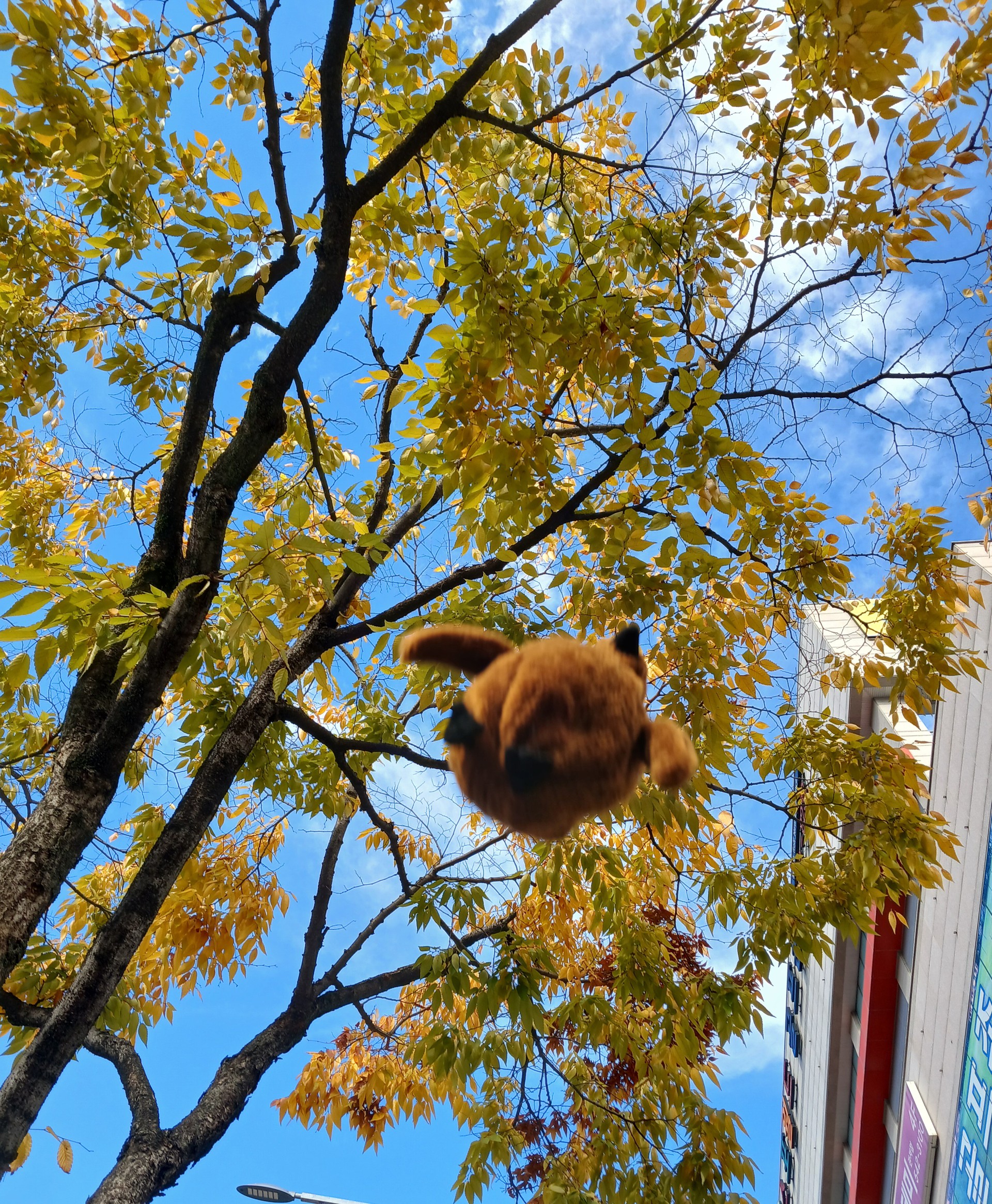 거기 지나가는 학생들....