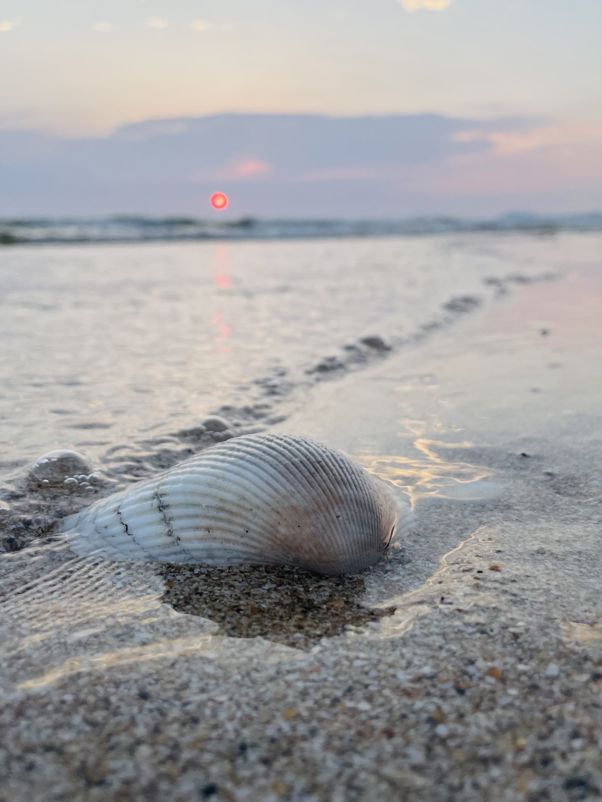 이 정도면 사진 잘 찍는건가..?