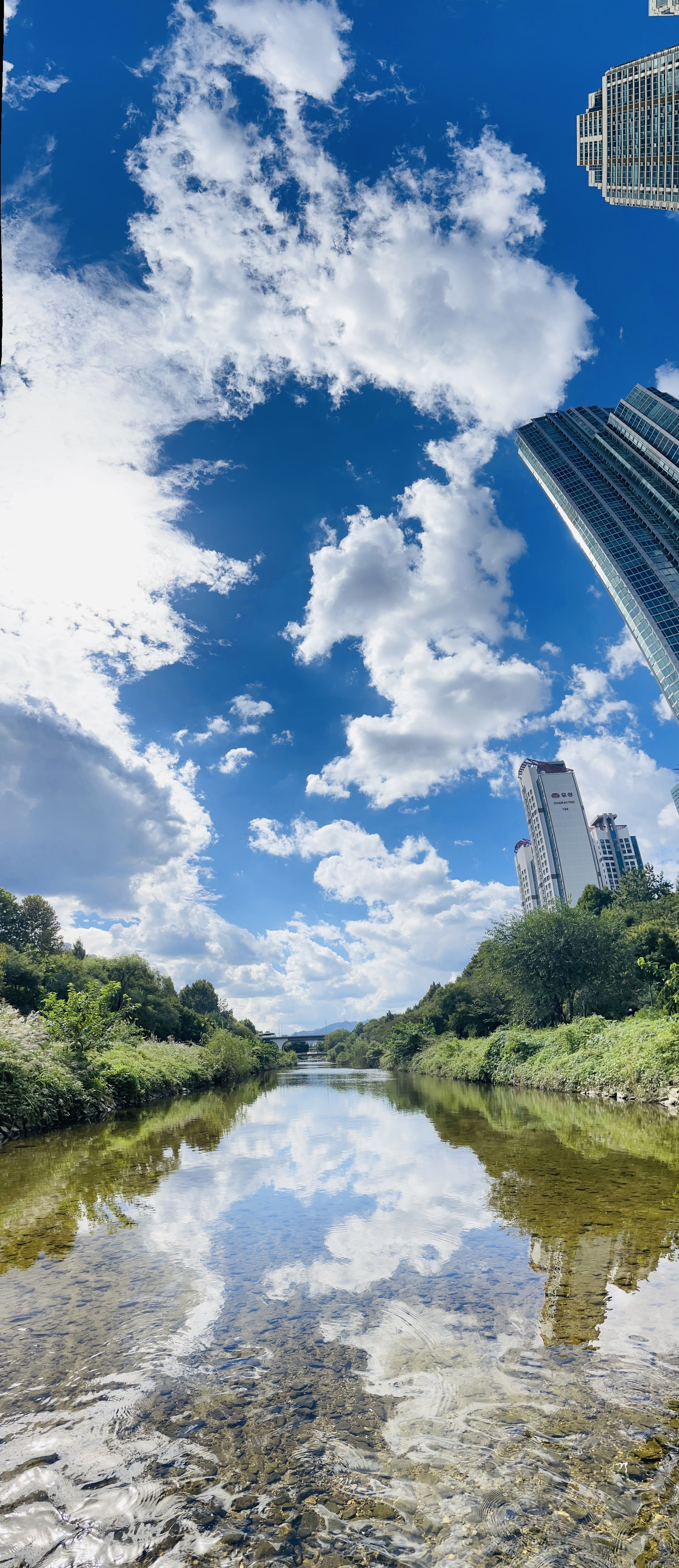 이 정도면 사진 잘 찍는건가..?