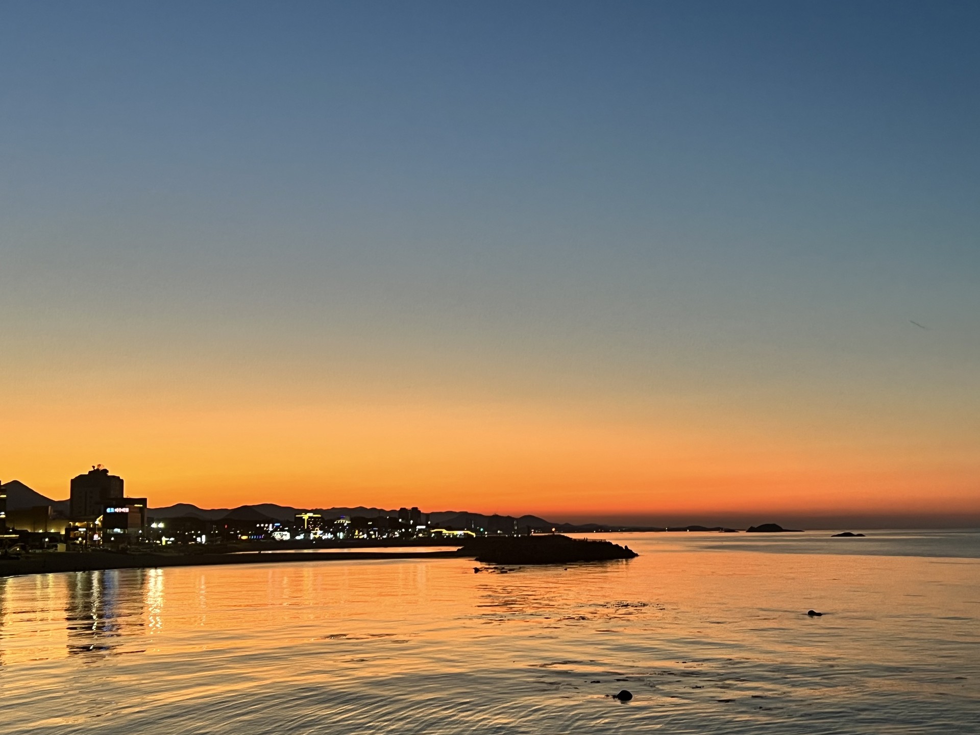 1년 동안 찍은 내 사진들