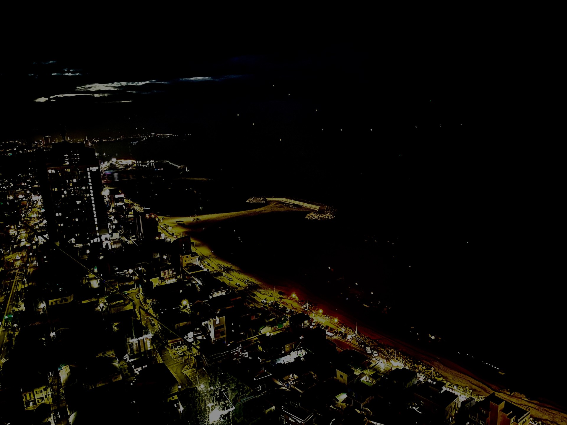 1년 동안 찍은 내 사진들