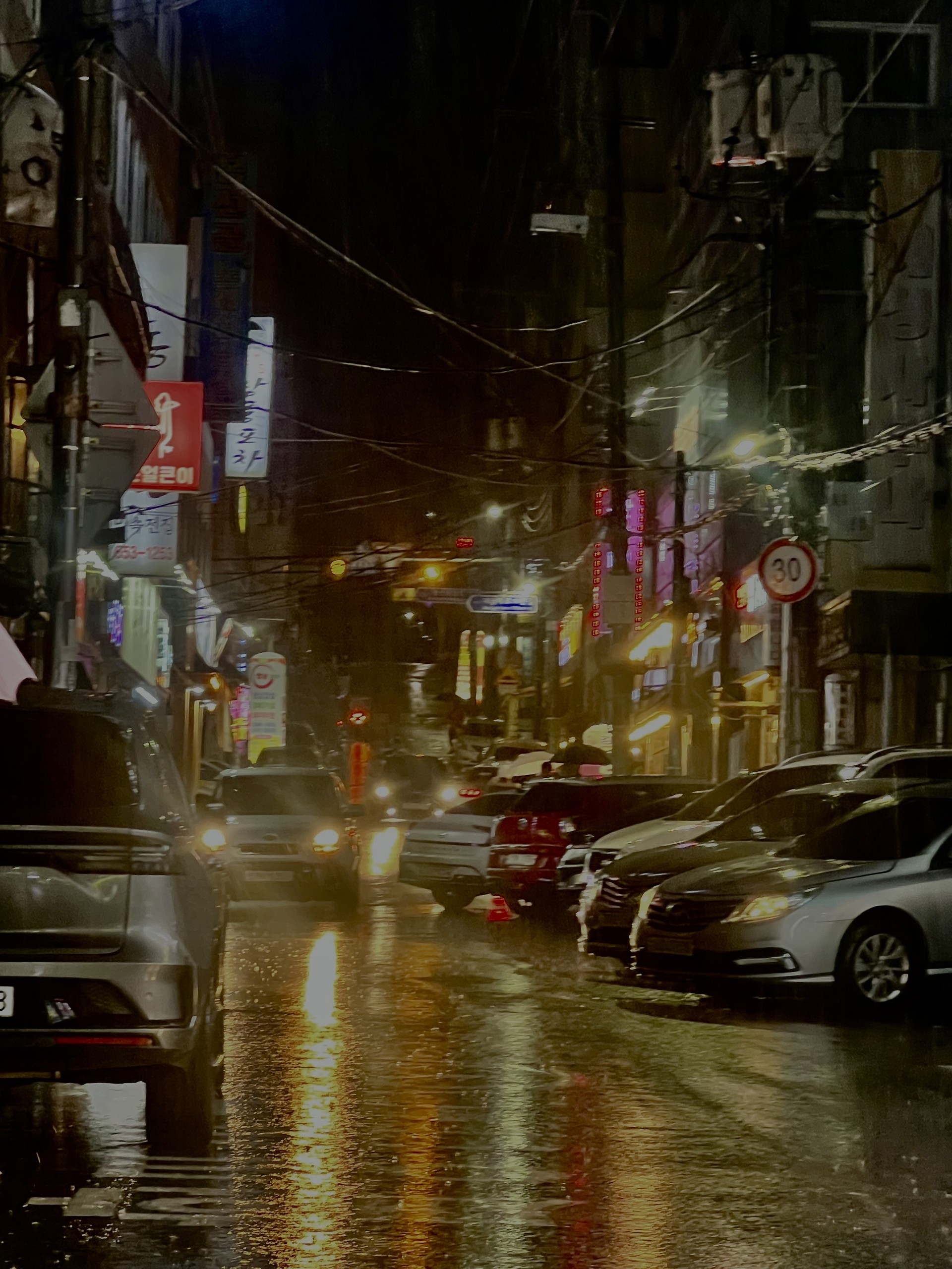 1년 동안 찍은 내 사진들