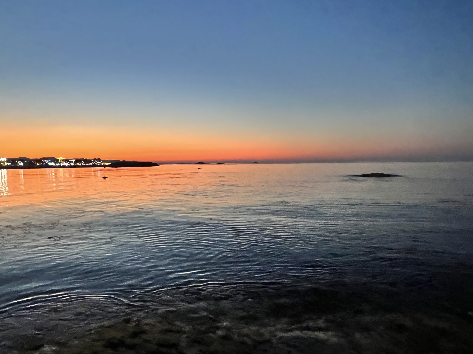 1년 동안 찍은 내 사진들