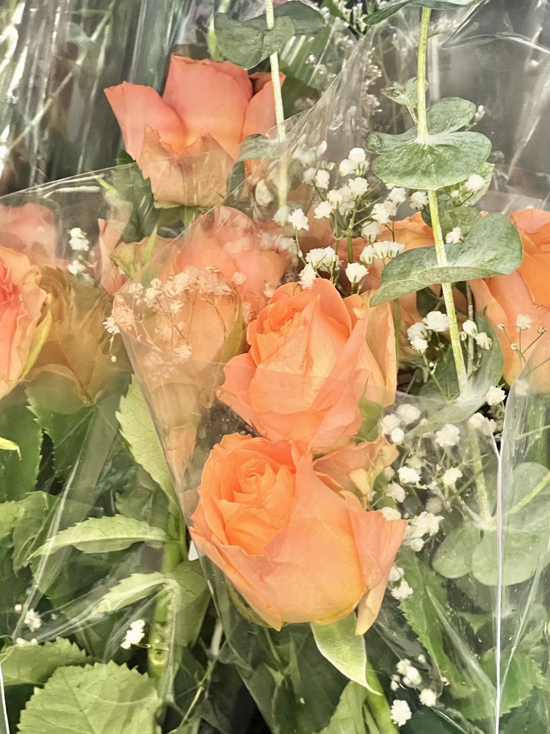 1년 동안 찍은 내 사진들