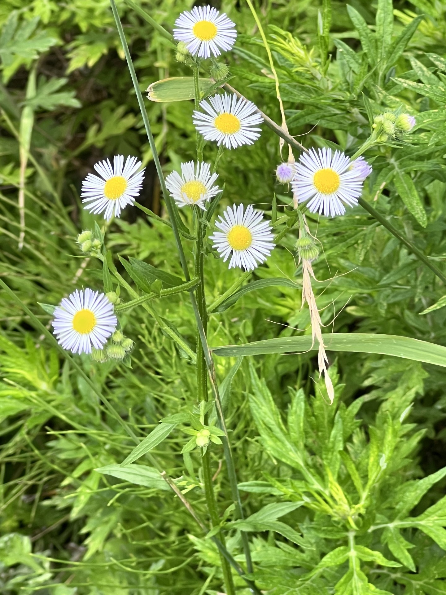 1년 동안 찍은 내 사진들