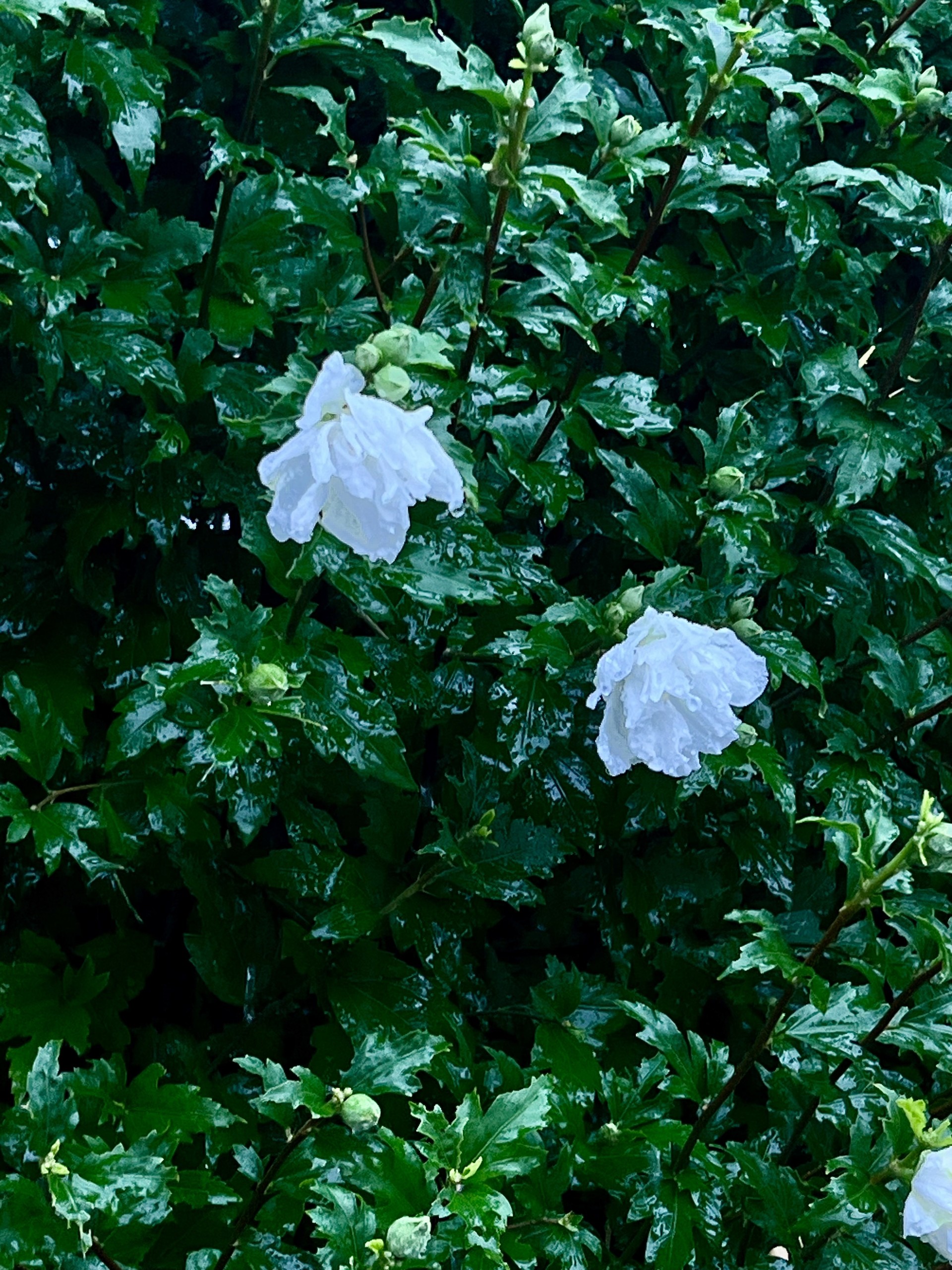 1년 동안 찍은 내 사진들