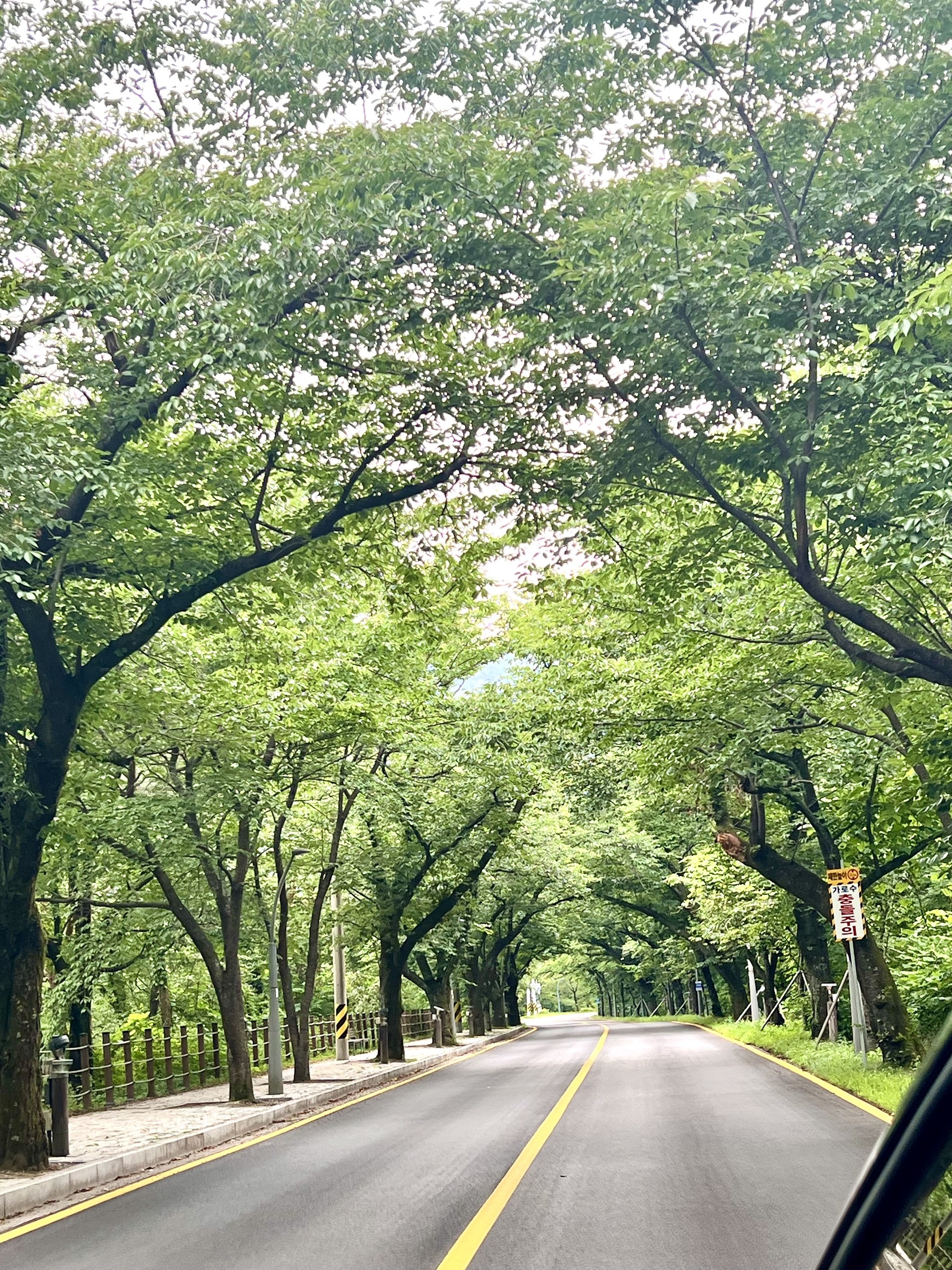 1년 동안 찍은 내 사진들