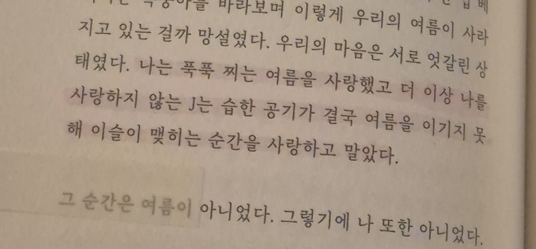 작가가 추천하는 감성 글귀