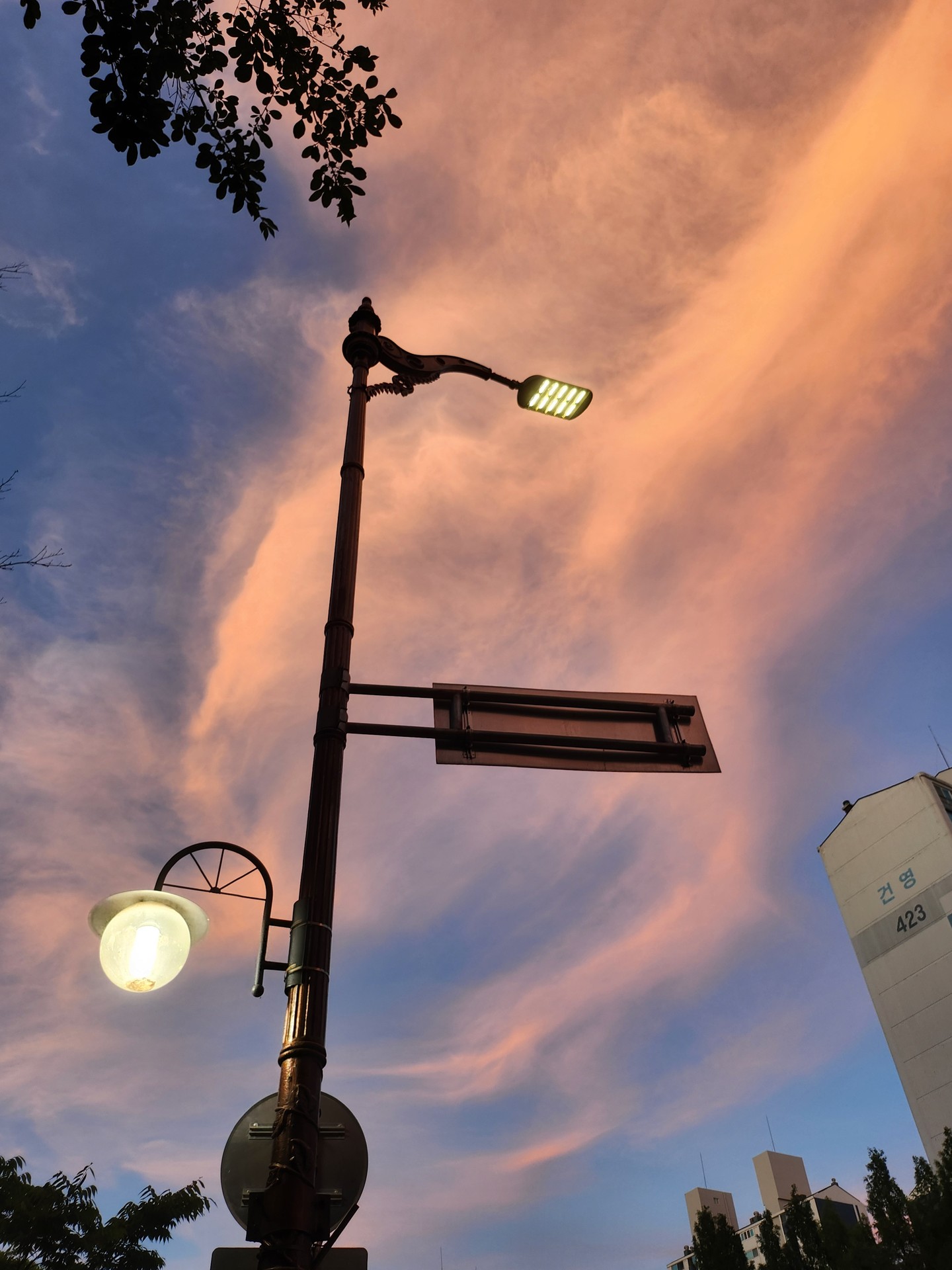 우리 동네 쫌 이쁘지 않나..?