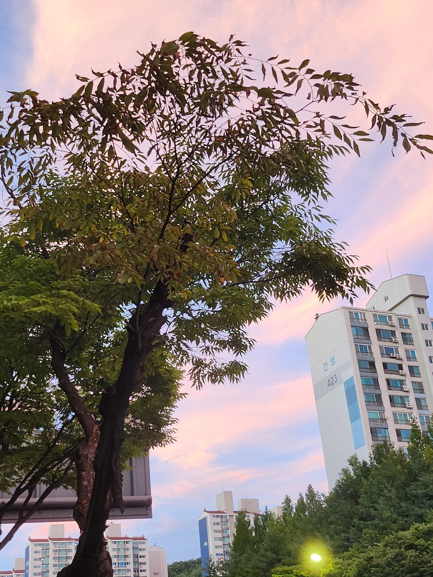 우리 동네 쫌 이쁘지 않나..?