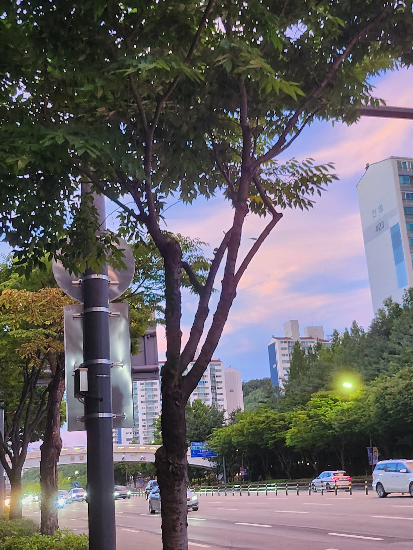 우리 동네 쫌 이쁘지 않나..?