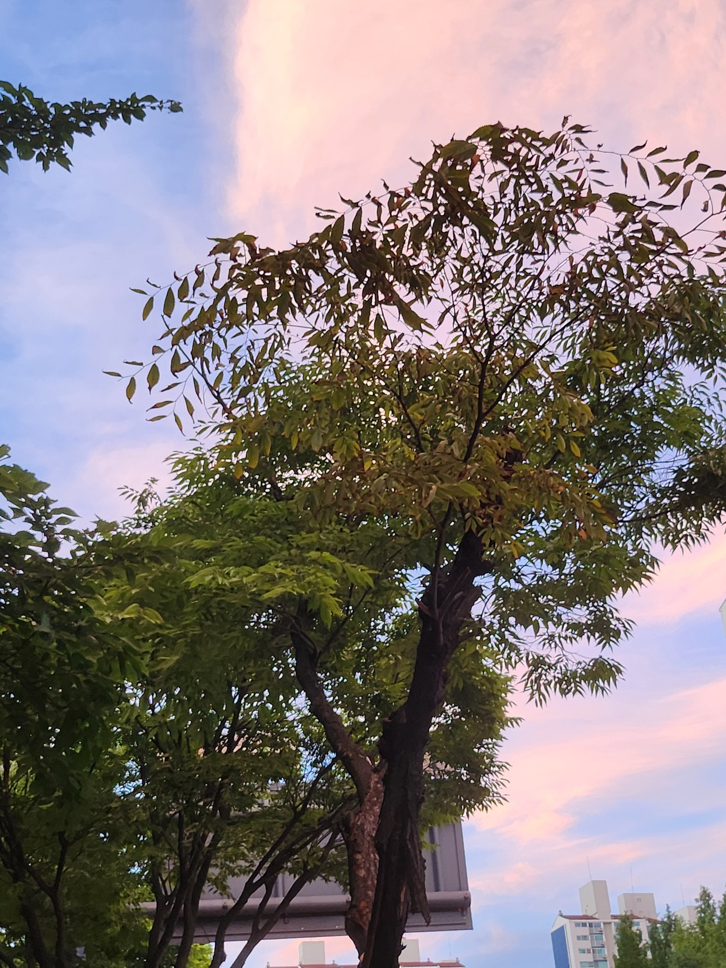 우리 동네 쫌 이쁘지 않나..?