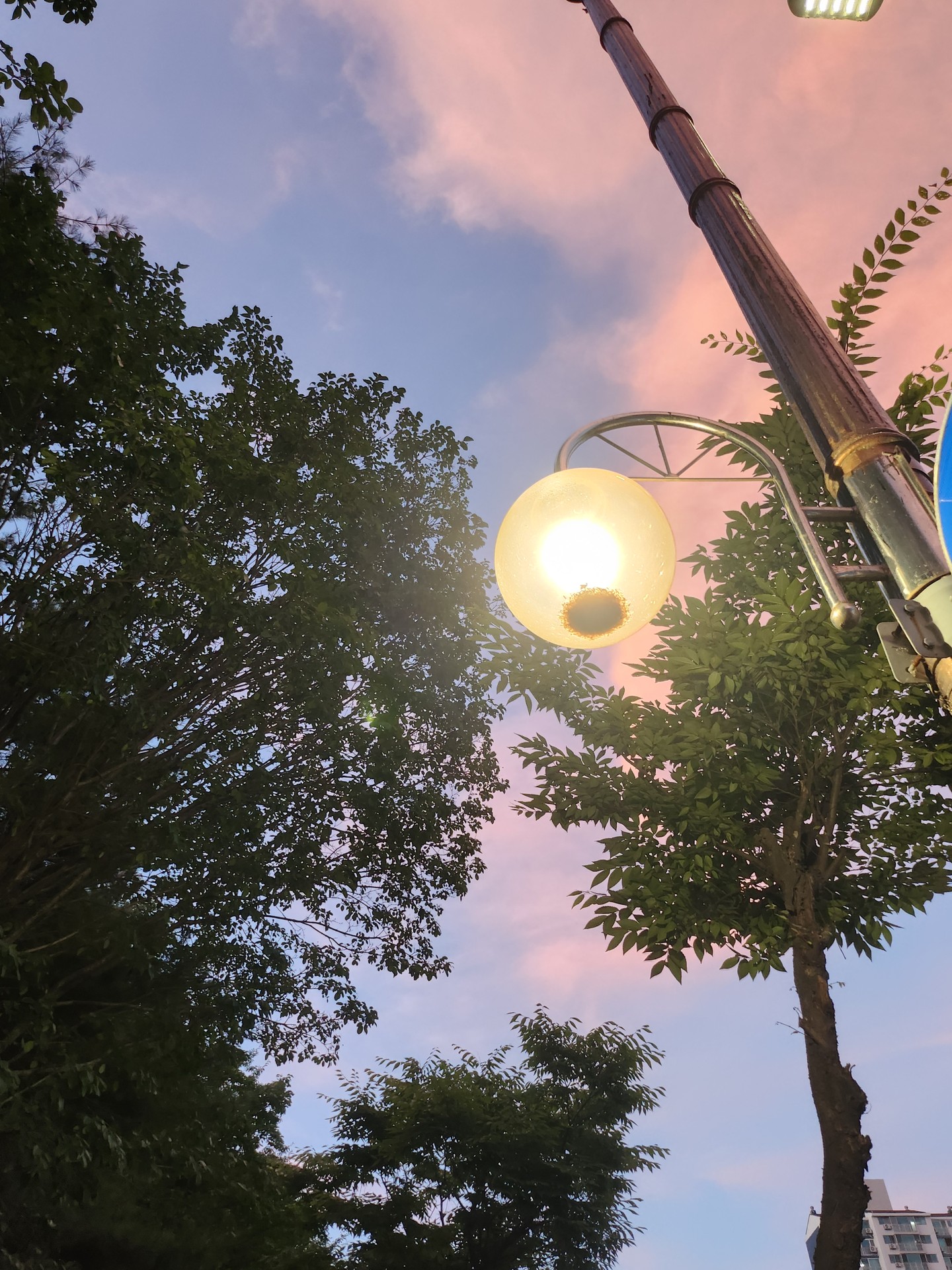 우리 동네 쫌 이쁘지 않나..?