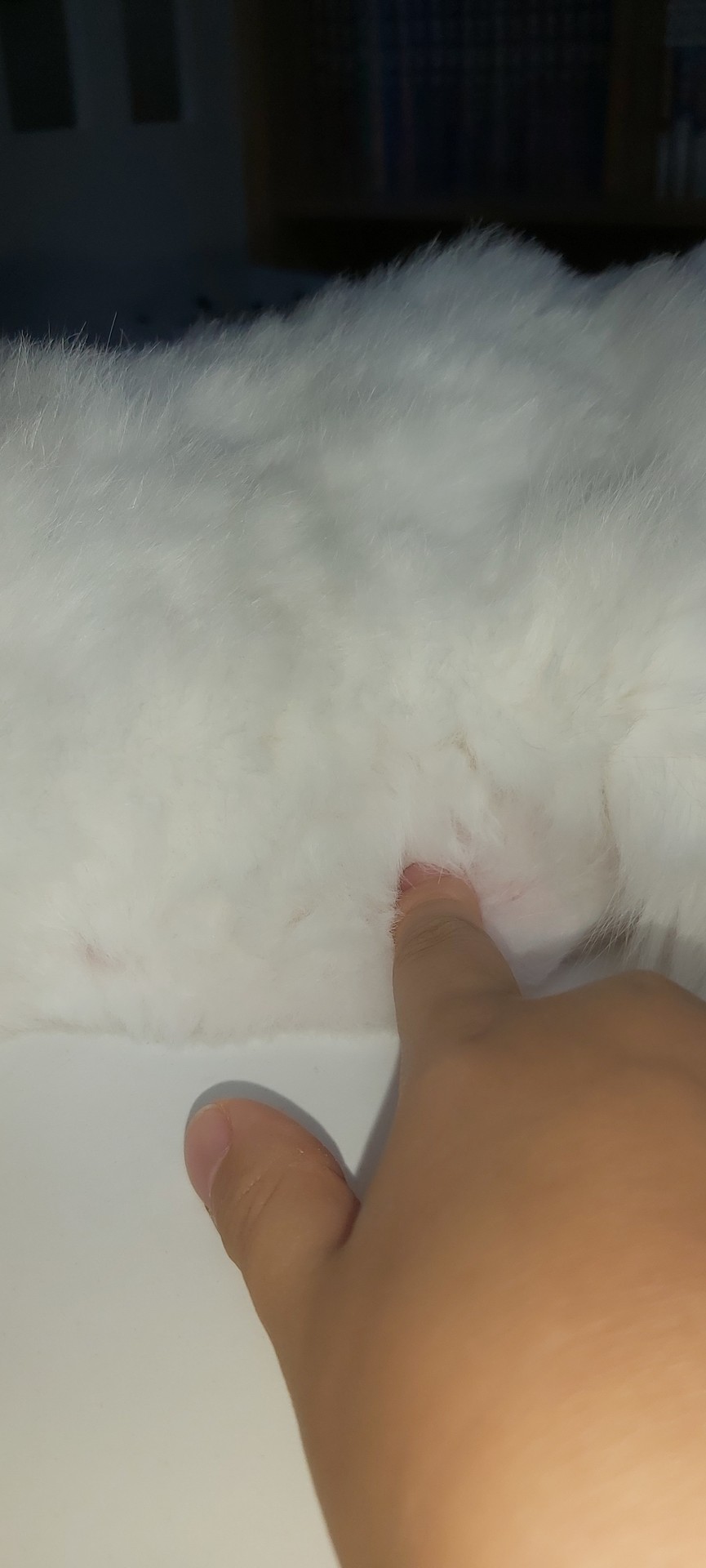 아니 귀여운데.....