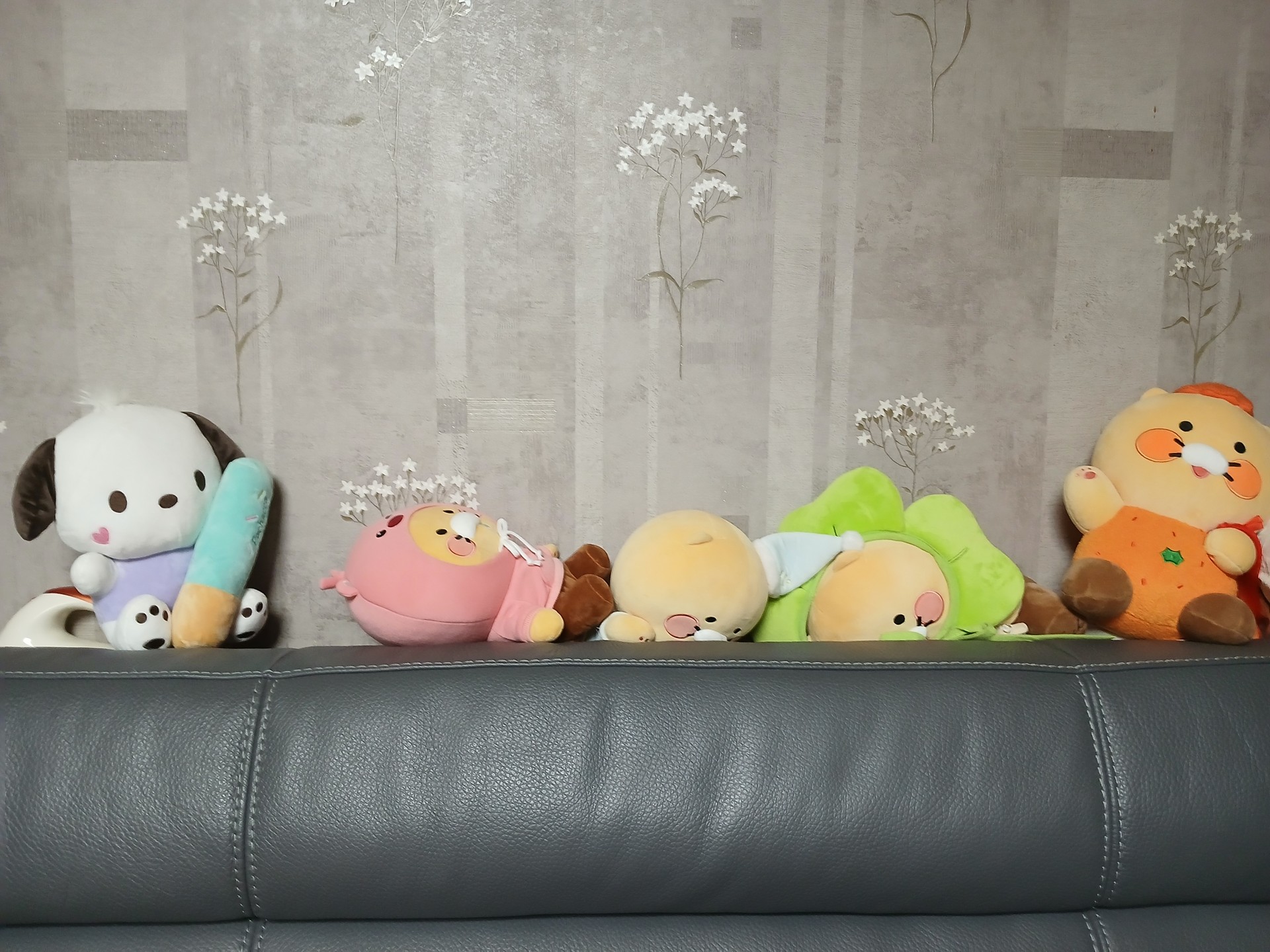 나 보다 인형 많은 사람