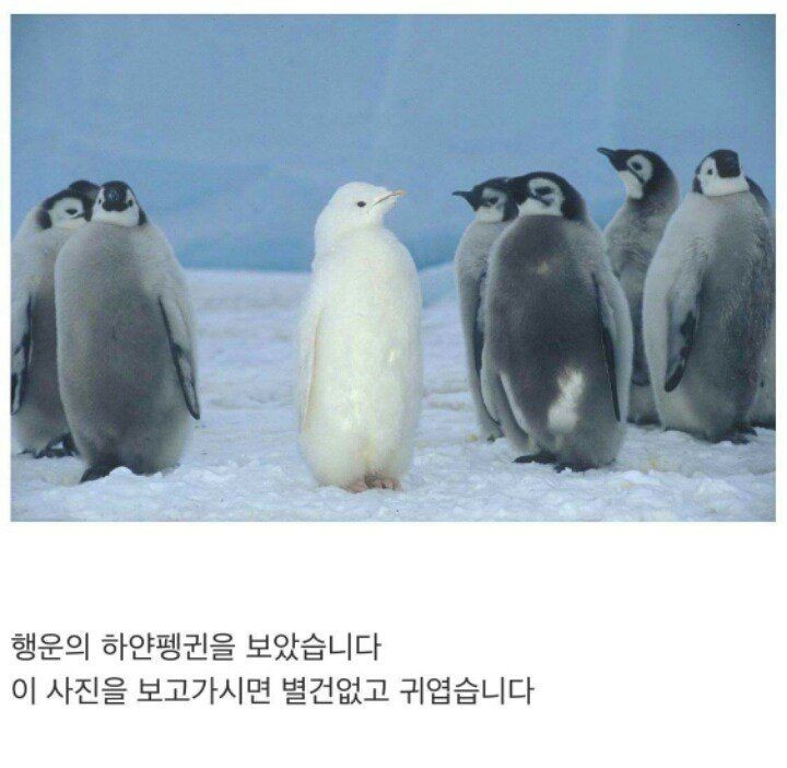 ㄴr.. 잠 안 오r....