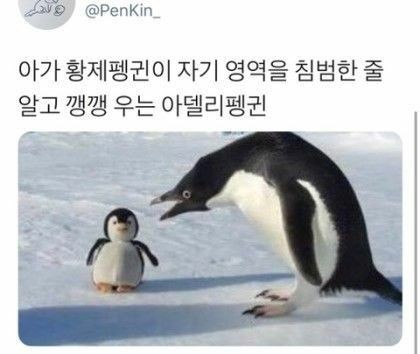 ㄴr.. 잠 안 오r....