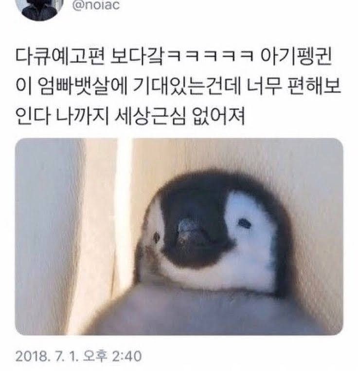 ㄴr.. 잠 안 오r....