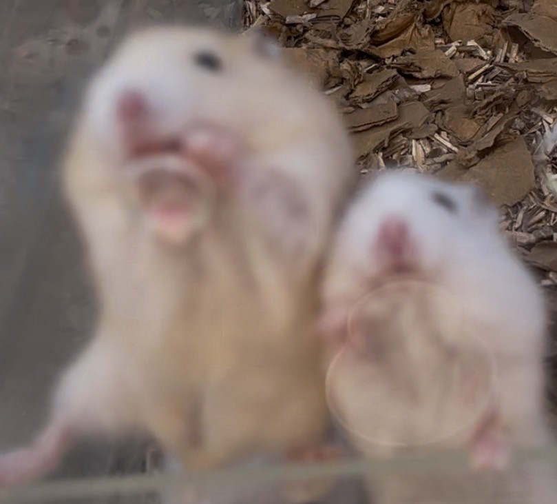 다들 방학 언제인가염