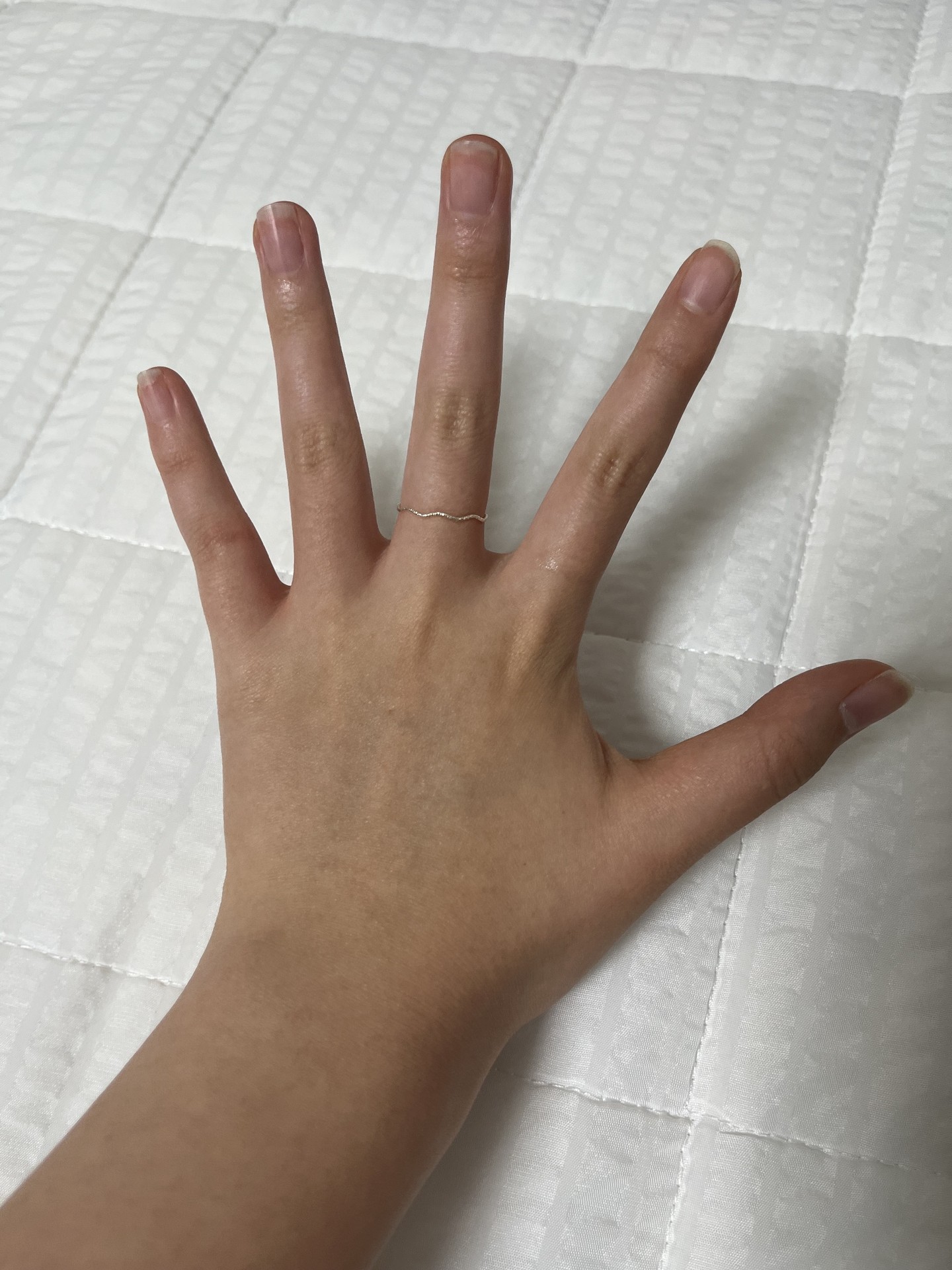 나 단풍손이야??