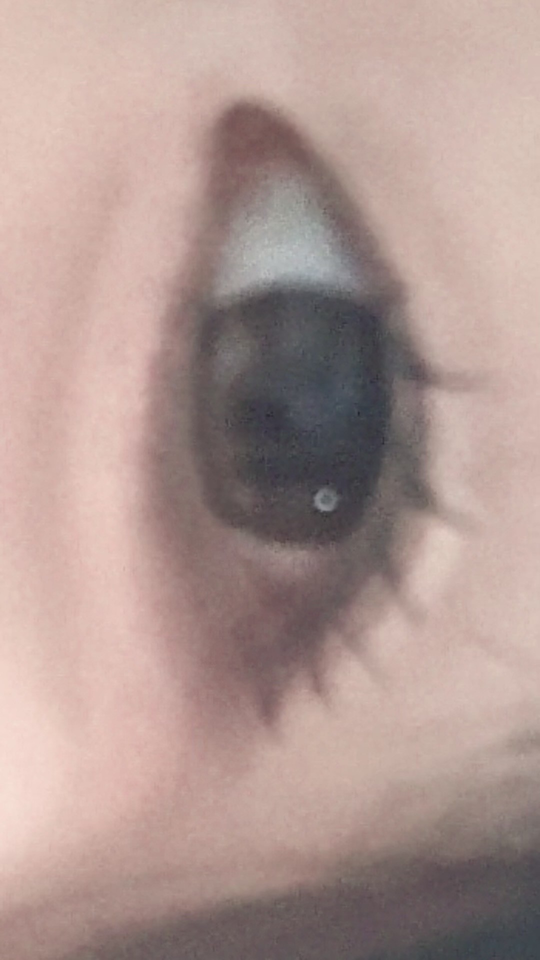 무쌍인데 눈 어때여 