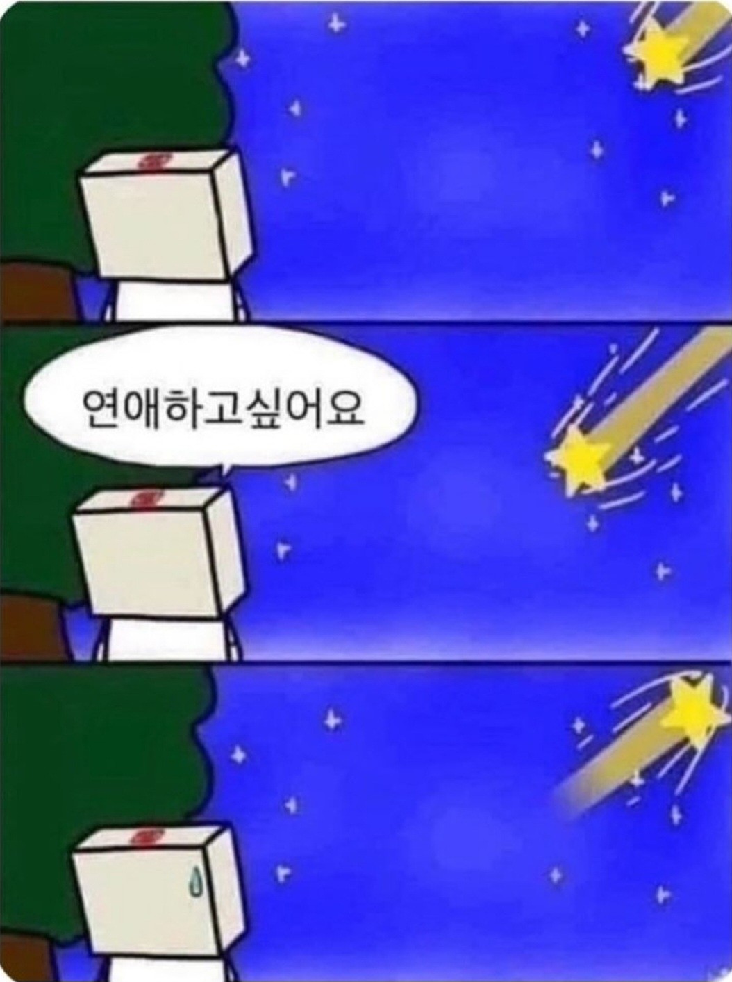 소원 빌래? 별 떨어진다 🌠💫