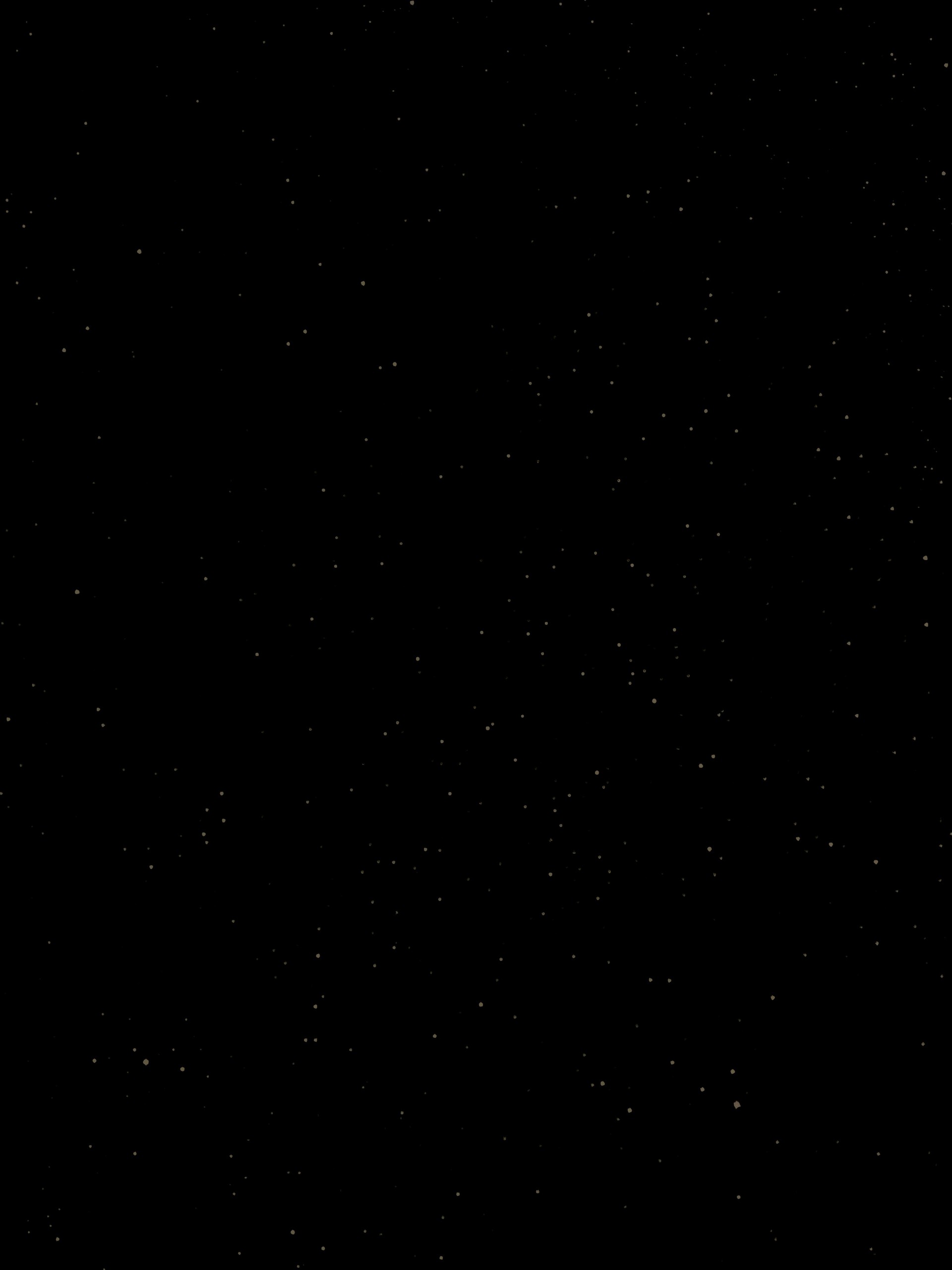 소원 빌래? 별 떨어진다 🌠💫