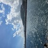 오세요 제주도