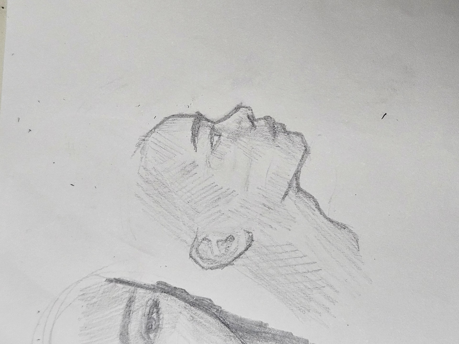 🐆 타잔과 함께 컴백==★★