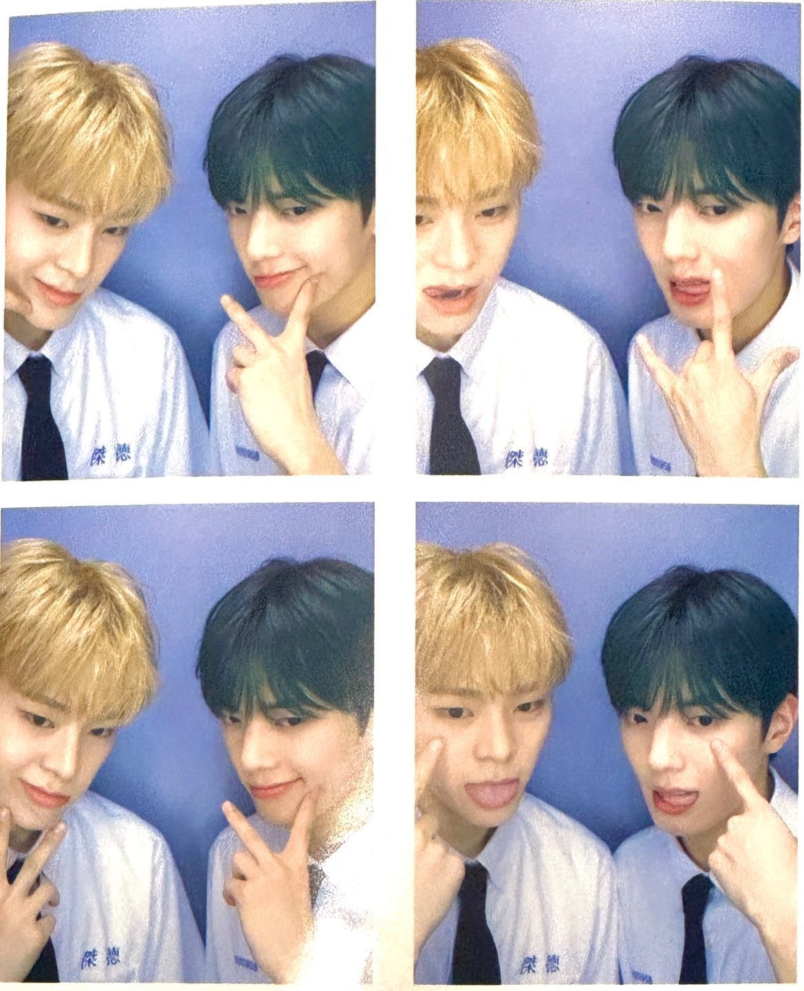 앙딱정 해줄게 보플 전이정 뽑자 얘들아