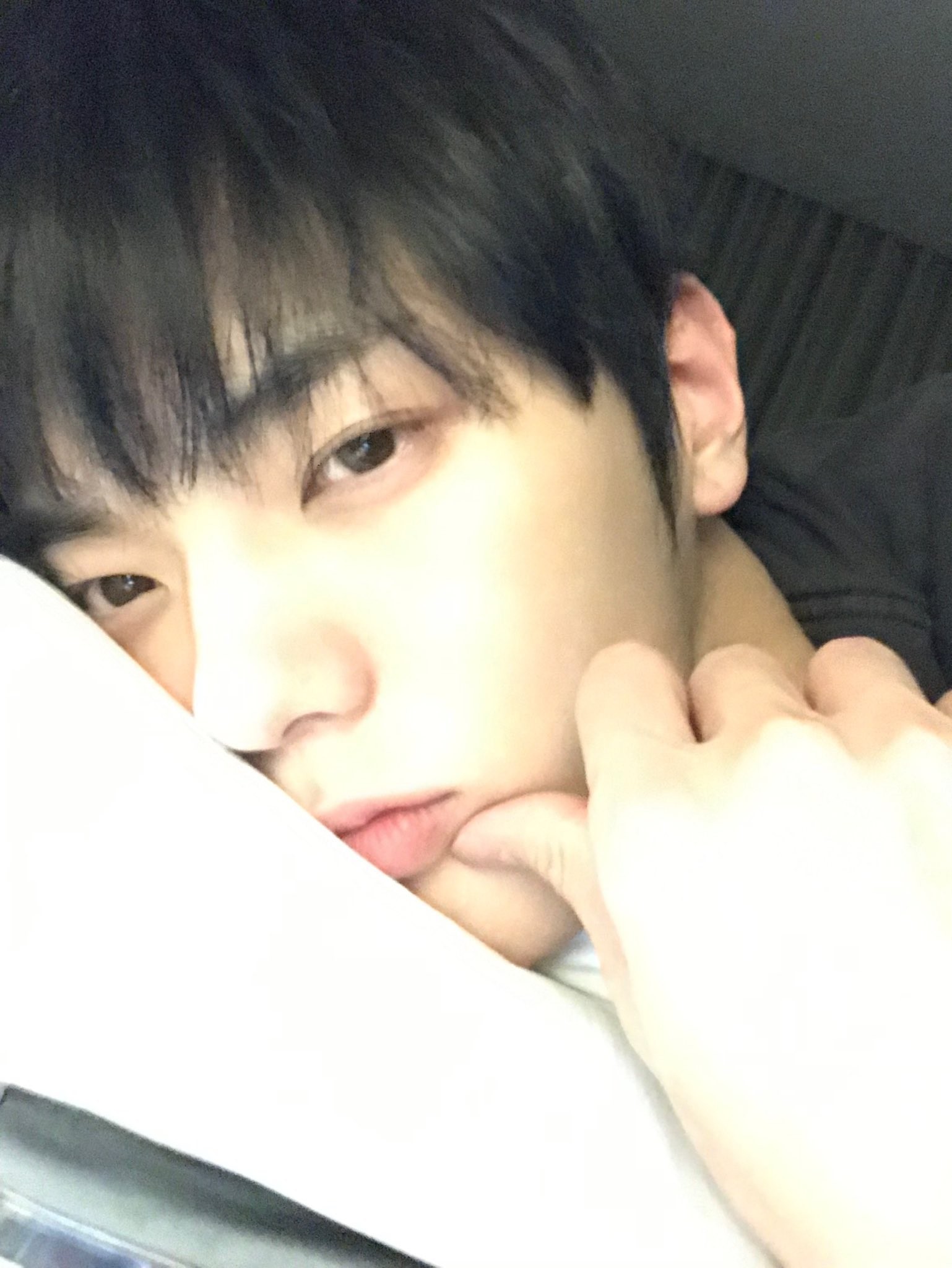 앙딱정 해줄게 보플 전이정 뽑자 얘들아