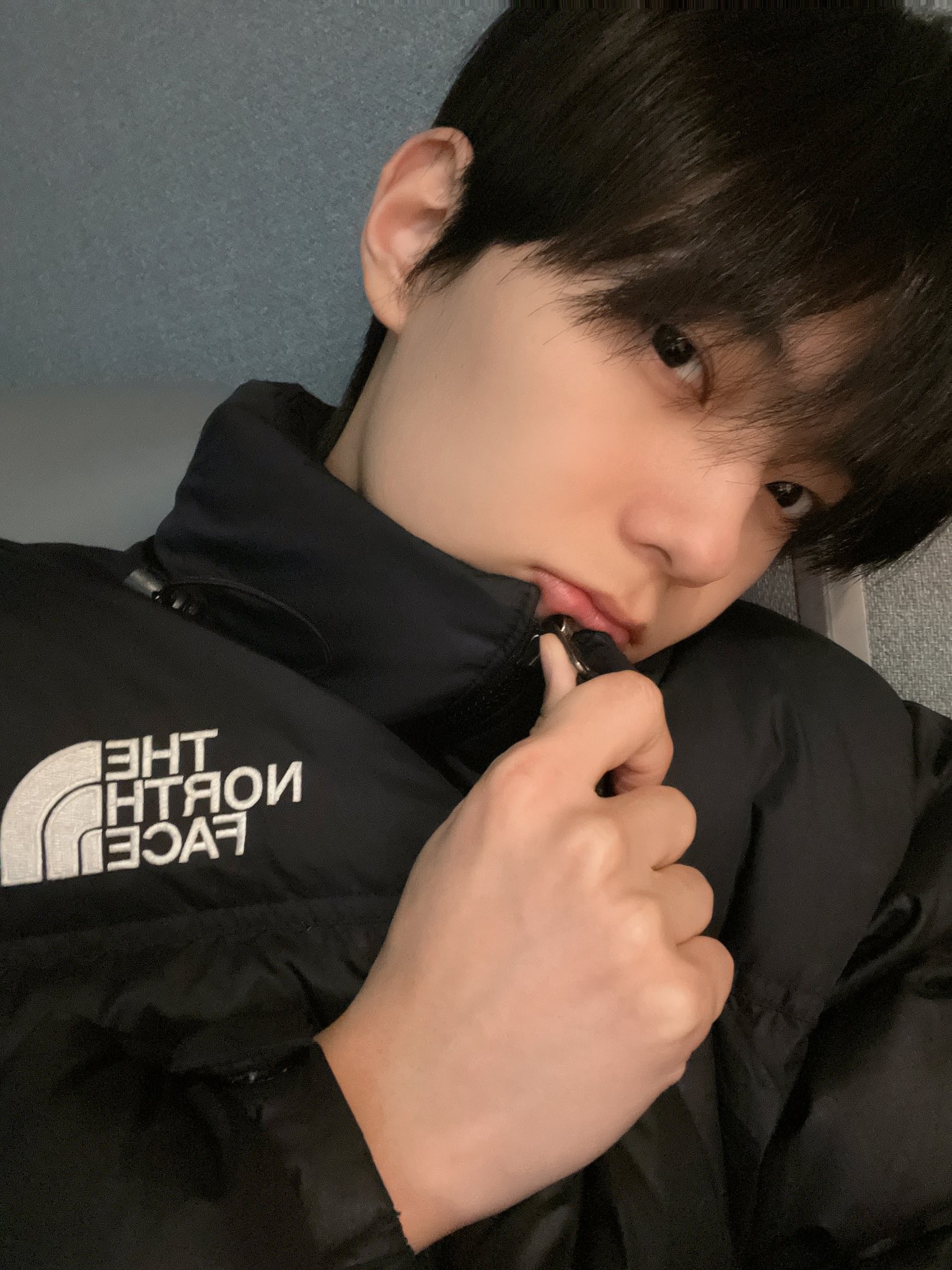 앙딱정 해줄게 보플 전이정 뽑자 얘들아