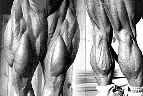 다리 평가 좀 해줘 ㅠㅠ